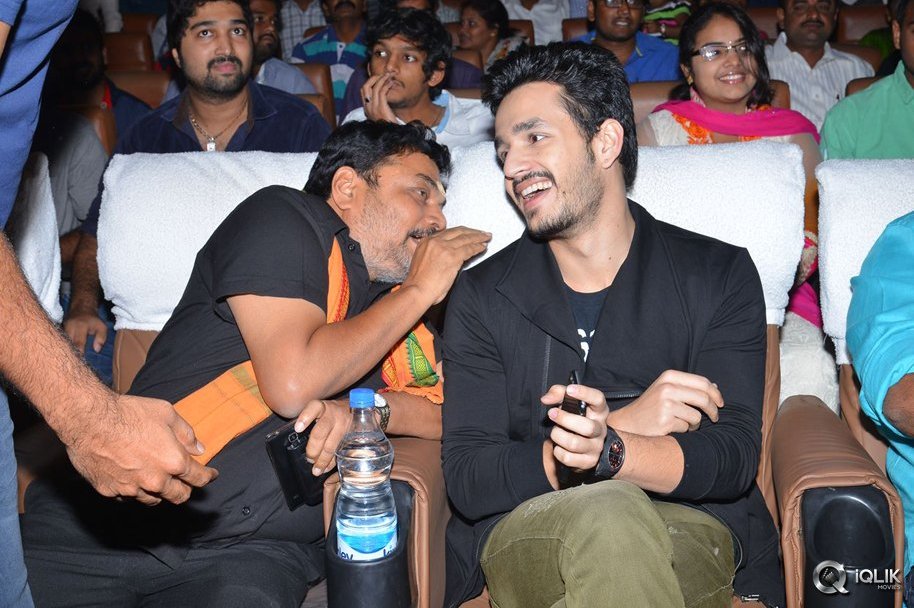Akhil-Movie-Platinum-Disc-Function